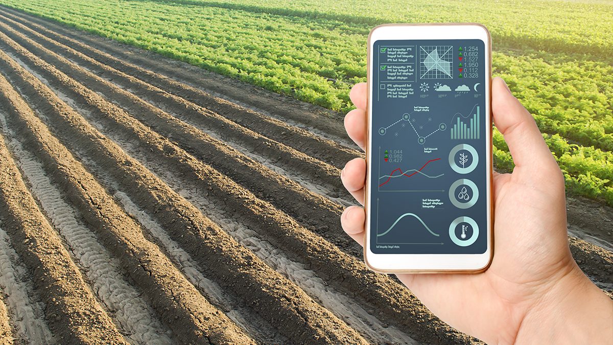 Monitoring crop on smart farming apps